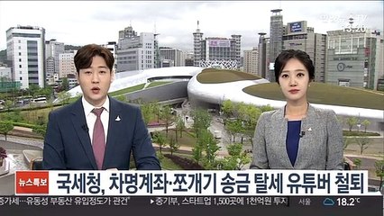 국세청, 차명계좌·쪼개기 송금 탈세 유튜버 철퇴
