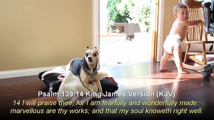 Infants That Never Saw Light