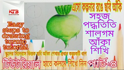 Easy steps to drawing Turnip tutorial