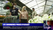 Les jardineries prises d'assaut depuis le déconfinement