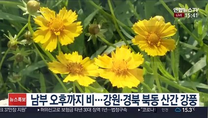 [날씨] 내일 전국 맑고 따뜻…공기는 다소 탁해