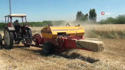 Çiftçilerin tarlada bayram mesaisi