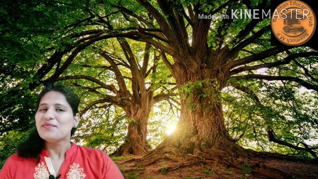 कोरोना वायरस पर कविता | Poem on Coronavirus in Hindi By-HM Sharma