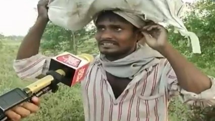 Bihar Migrant Workers refuse to go back to cities