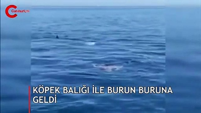 Paralimpik yüzücü köpek balığı ile burun buruna geldi