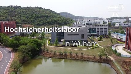 Labor in Wuhan weist Verantwortung für Coronavirus-Ausbruch zurück