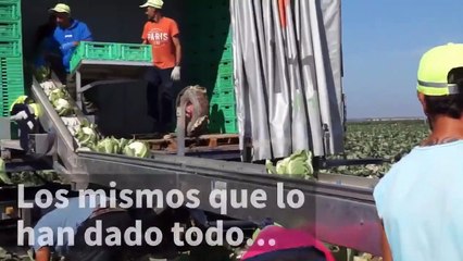 La Junta protege a una agricultura andaluza atacada por la izquierda