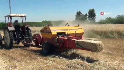 Çiftçilerin Tarlada Bayram Mesaisi