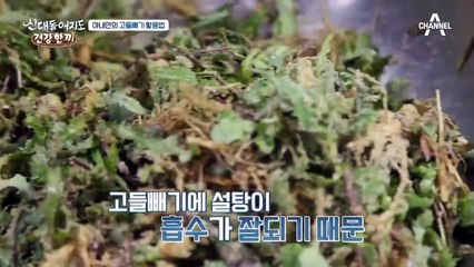 고들빼기 발효액을 활용한 건강 한 끼 大공개~