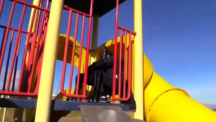 Justice Kidz - Ninja Kidz TV