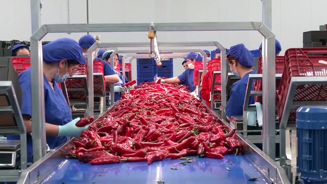 El sector primario andaluz afronta la recuperación tras la pandemia