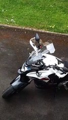 Squirrel Sits on Motorcycle