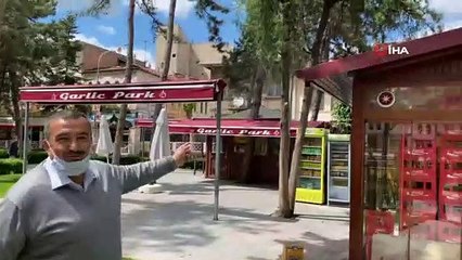 Yaralı kargayı kurtardı, diğer kargaların saldırısına uğradı