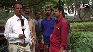 কফি খেতে ডাকাতি বিপদে কৃষকরা | Munsur Ali | Bangla News.