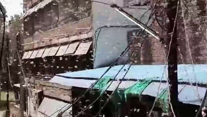 Huge swarms of locusts sweep through central India