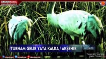 Türkü Diyenler- 24 Mayıs 2020- Ulusal Kanal