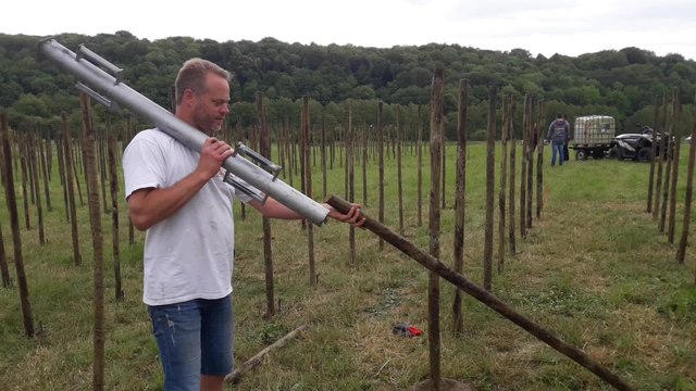 Plantage des premières vignes à Sautour