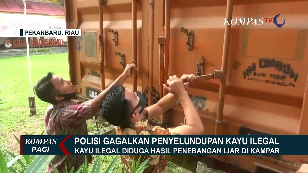 Truk Berisi 1.400 Kayu Ilegal Dibekuk Polda Riau, 2 Kurir Ditangkap