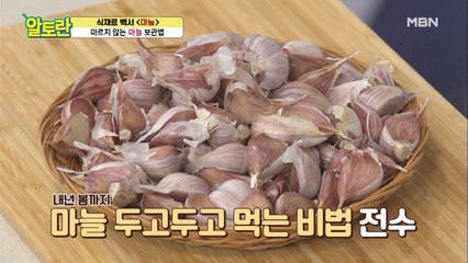 내년 봄까지 끄떡없다! 초간단 [마늘] 냉장 보관법