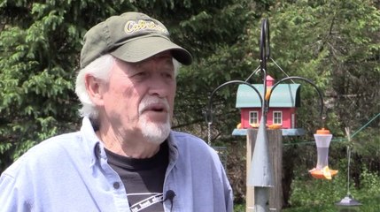 Backyard birding becomes a top hobby during coronavirus