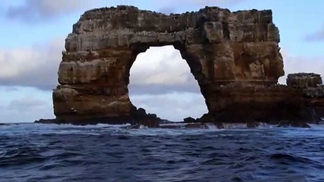 Trailer Galapagos: Realm of Giant Sharks by Thomas Lucas (2012)