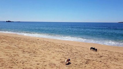 La plage rien que pour les poilus