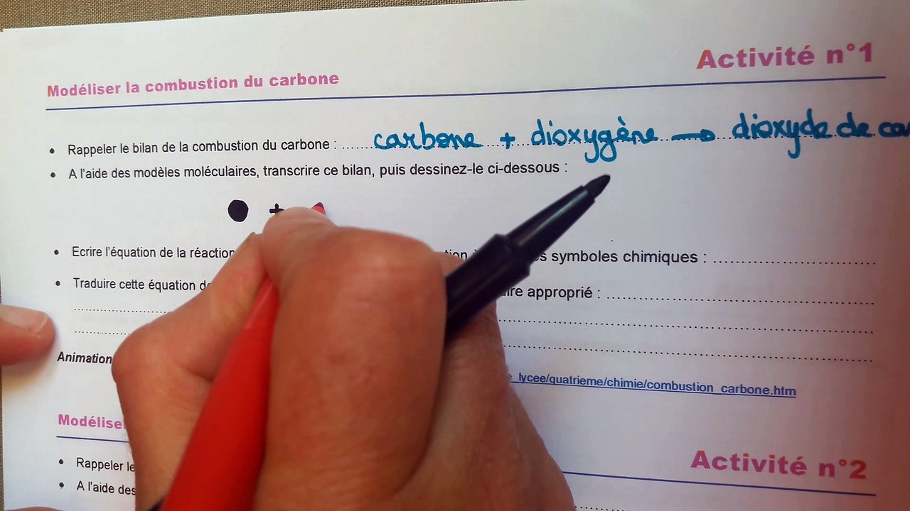 activité 1
