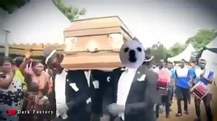 Cancion del meme del ATaud version Canino (Astronomia version canino)