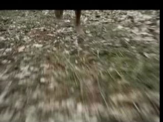 Axe - efekt axe (teaser)