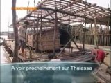 interview Régis Michel - Birmanie - Thalassa