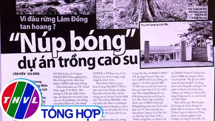 Vì đâu rừng Lâm Đồng tan hoang? "Núp bóng" dự án trồng cao su - Điểm báo (25/5/2020)