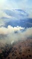 Incendio forestal afecta 670 hectáreas en el municipio de Villanueva en Zacatecas 2