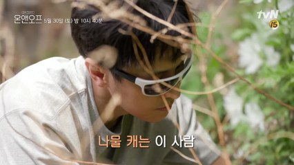 [예고] 반려벌과 함께하는 심하게(?) 평화로운 동완의 OFF