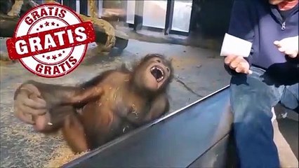 Loudest Sound You Never Heard