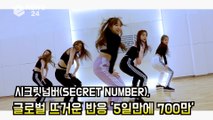 시크릿넘버(SECRET NUMBER), 글로벌 팬 뜨거운 반응 '5일만에 700만 K팝 트래픽도 2위'