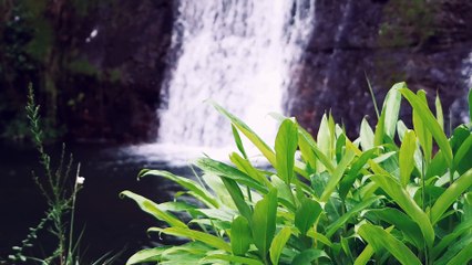 Waterfall Ambiance Music for Relaxation/Deep Sleep