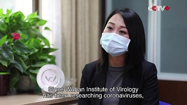 Coronavirus: La directrice du laboratoire de Wuhan, très souvent pointé du doigt, nie toute responsabilité: C'est de la pure fabrication