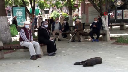 Yaşlılar Sosyal Mesafeye Dikkat Ederek Sohbet Etti