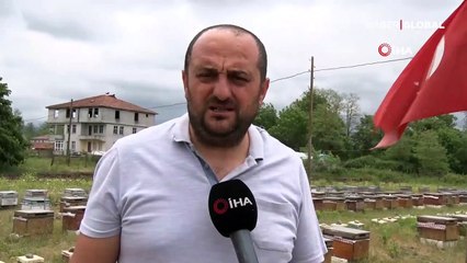 Servet değerinde: Gramı 8, kilosu 8 bin TL