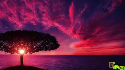 [ FREE ]  Healing Music,  Meditation yoga music relax mind body, Meditation Music