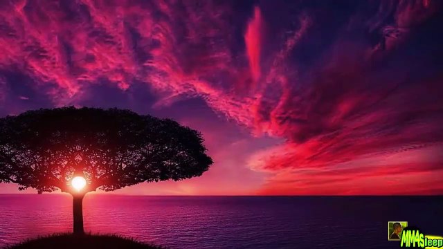 [ FREE ] Healing Music, Meditation yoga music relax mind body, Meditation Music