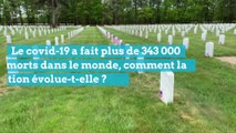 Coronavirus : 343 000 morts dans le monde