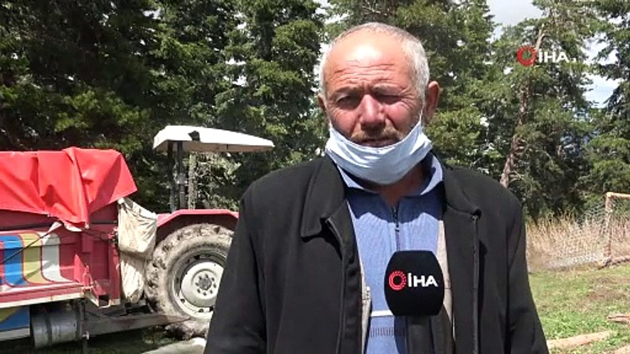 Aniden bastıran kar yağışı nedeniyle 50 koyun ve 30 kuzu telef oldu