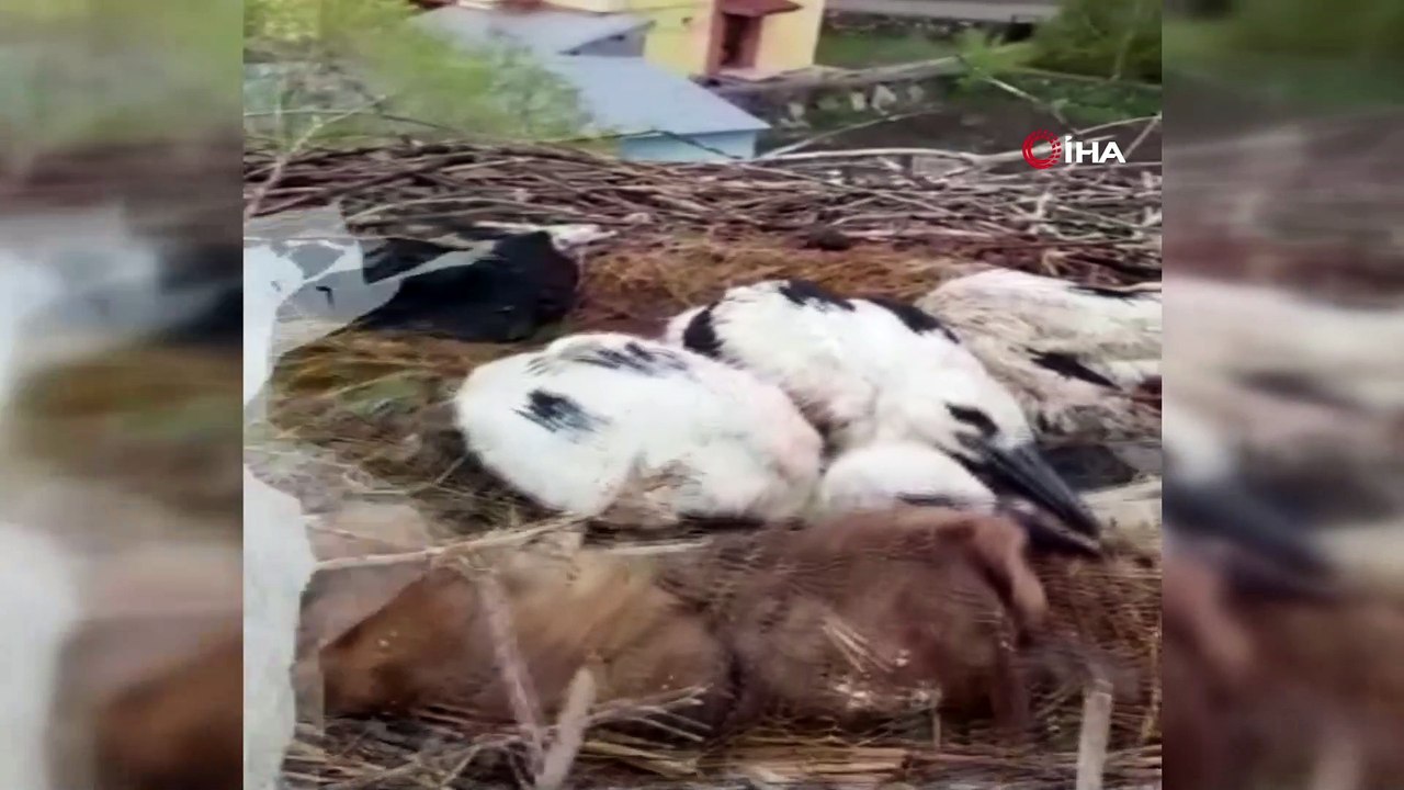 Leylek yuvasında çıkan yangını söndürmek için seferber oldular
