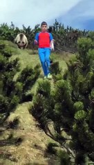 Un ours apparait derrière un enfant (Italie)