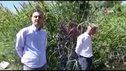 Bursa’da çevre katliamı