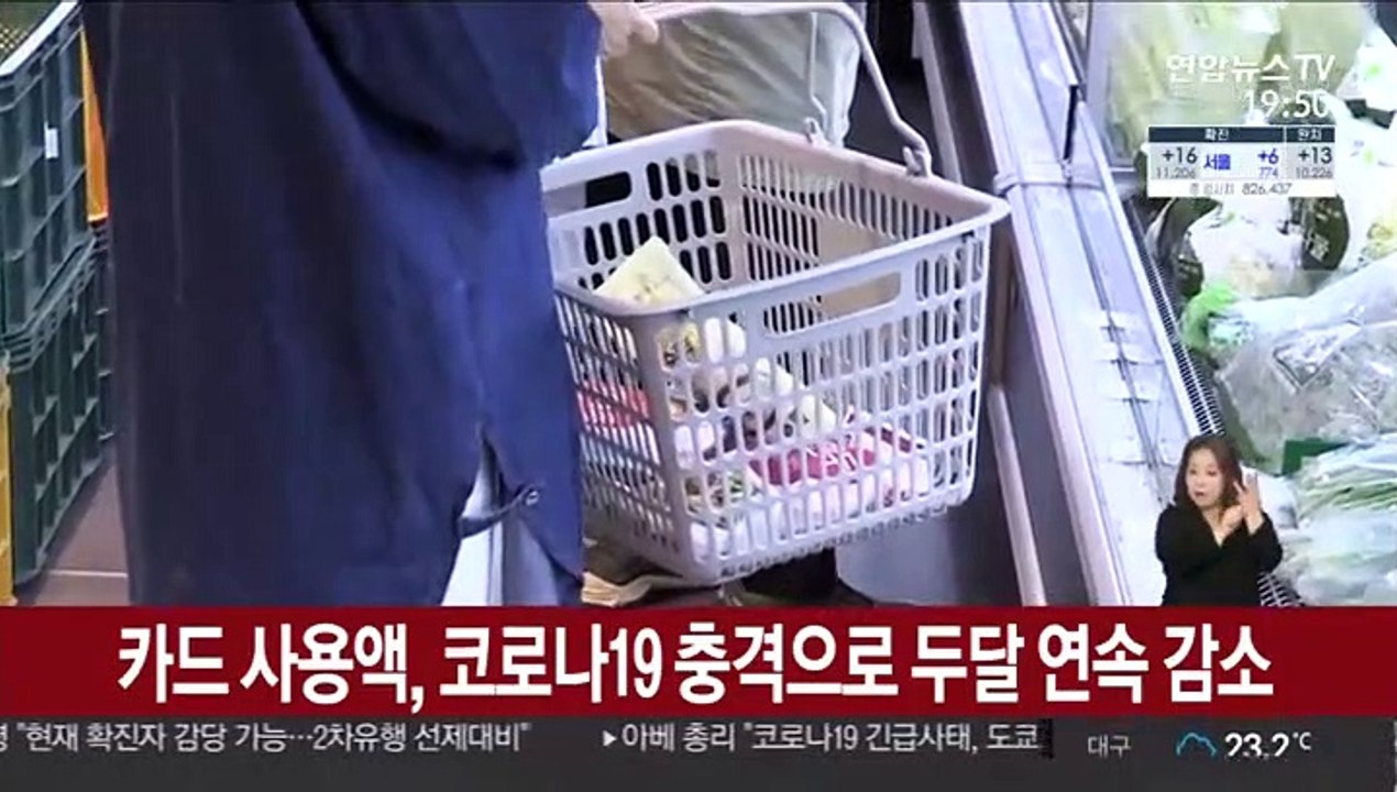 카드 사용액, 코로나19 충격으로 두달 연속 감소
