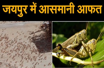 जयपुर में आसमानी आफत