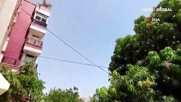 Hindistan ve Dubai'de çekirge istilası