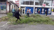 Ardahan'da fırtına...Çatılar uçtu, ağaçlar devrildi, elektrik telleri koptu